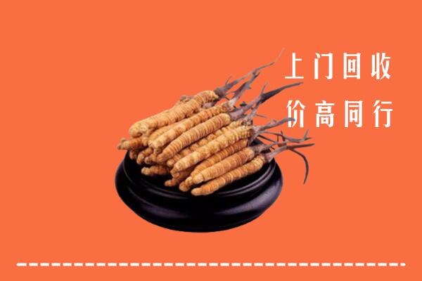 收购行情：甘孜得荣县回收散虫草