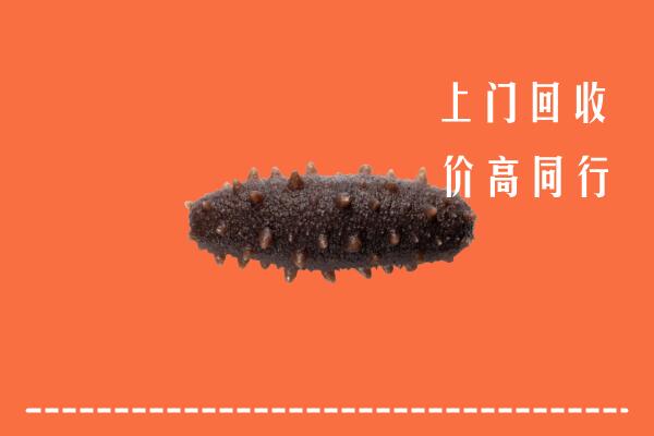 甘孜得荣县回收海参