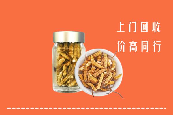 甘孜得荣县回收冬虫夏草